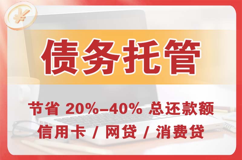 开发区债务托管